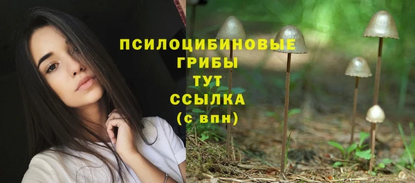 прущий лед Гусиноозёрск