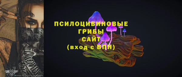 ПСИЛОЦИБИНОВЫЕ ГРИБЫ Горняк